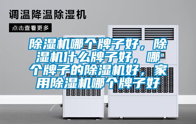 麻豆视频黄网站哪个牌子好，麻豆视频黄网站什么牌子好，哪个牌子的麻豆视频黄网站好，家用麻豆视频黄网站哪个牌子好