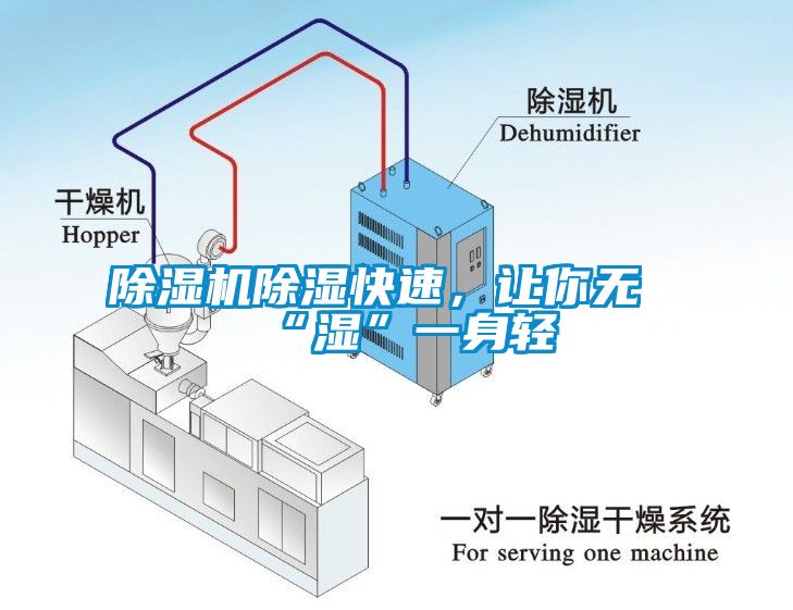 麻豆视频黄网站除湿快速，让你无“湿”一身轻