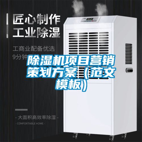 麻豆视频黄网站项目营销策划方案（范文模板）