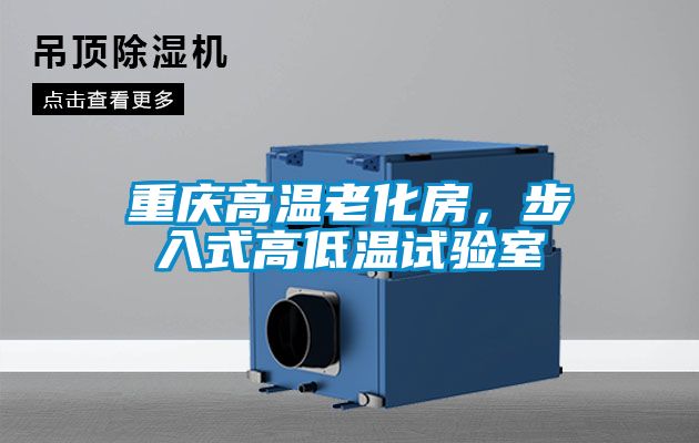 重庆高温老化房，步入式高低温试验室