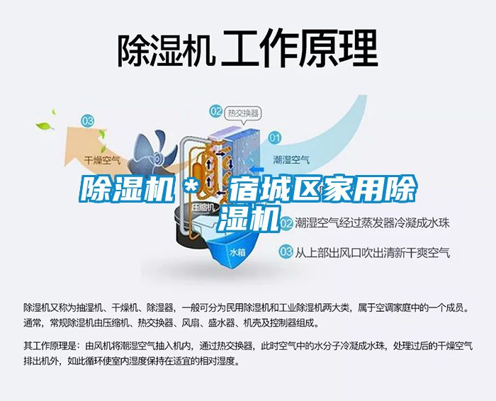麻豆视频黄网站＊ 宿城区家用麻豆视频黄网站