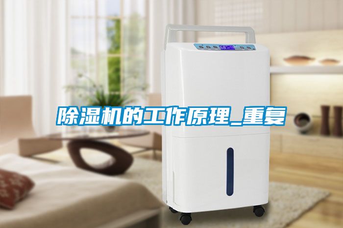 麻豆视频黄网站的工作原理_重复