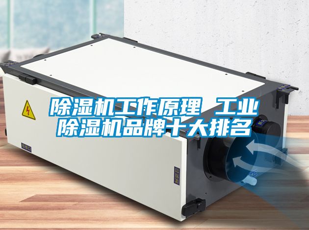 麻豆视频黄网站工作原理 工业麻豆视频黄网站品牌十大排名