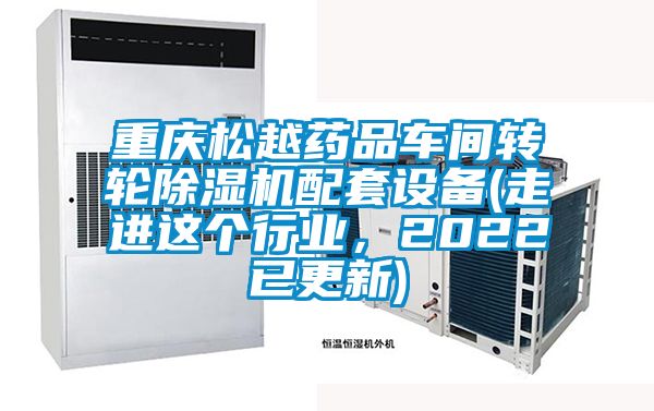 重庆松越药品车间转轮麻豆视频黄网站配套设备(走进这个行业，2022已更新)