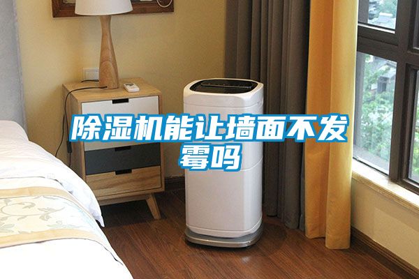 麻豆视频黄网站能让墙面不发霉吗