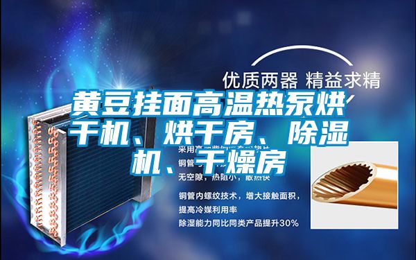 黄豆挂面高温热泵烘干机、烘干房、麻豆视频黄网站、干燥房
