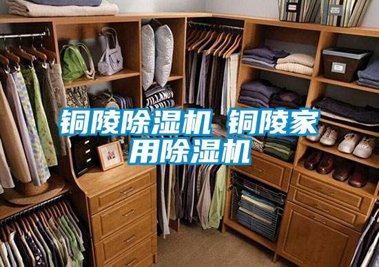 铜陵麻豆视频黄网站◆铜陵家用麻豆视频黄网站