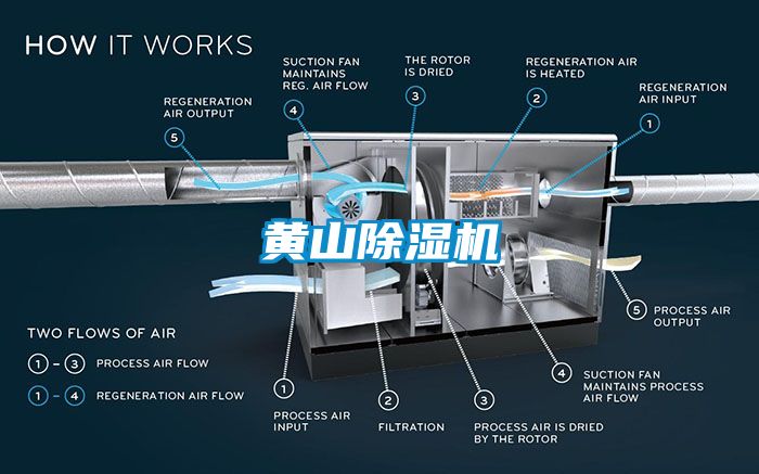 黄山麻豆视频黄网站