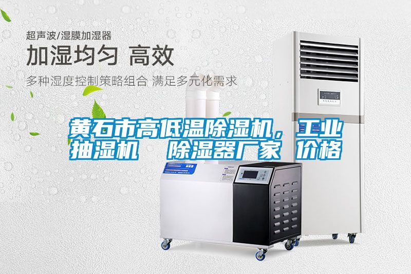 黄石市高低温麻豆视频黄网站，工业抽湿机  除湿器厂家 价格
