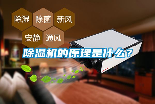 麻豆视频黄网站的原理是什么？