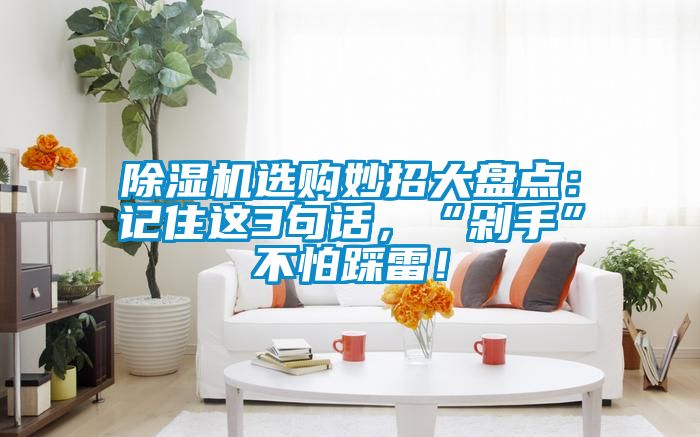 麻豆视频黄网站选购妙招大盘点：记住这3句话，“剁手”不怕踩雷！