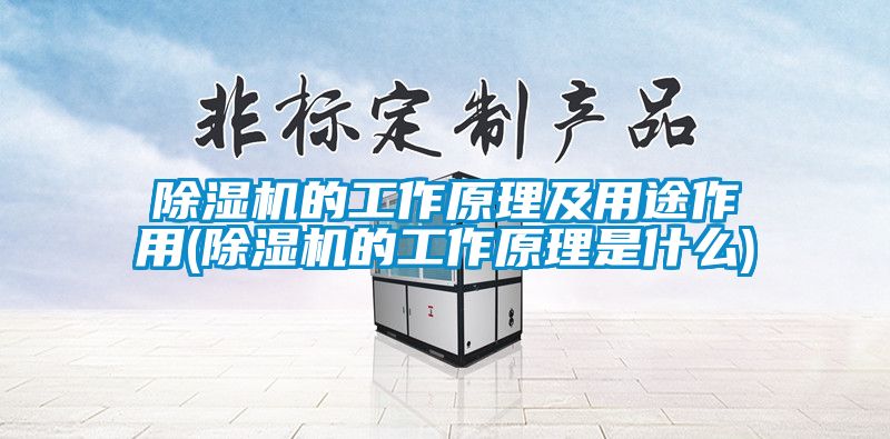 麻豆视频黄网站的工作原理及用途作用(麻豆视频黄网站的工作原理是什么)