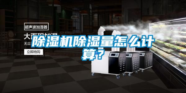 麻豆视频黄网站除湿量怎么计算？