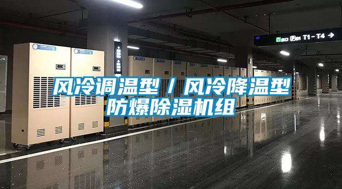 风冷调温型／风冷降温型防爆麻豆视频黄网站组