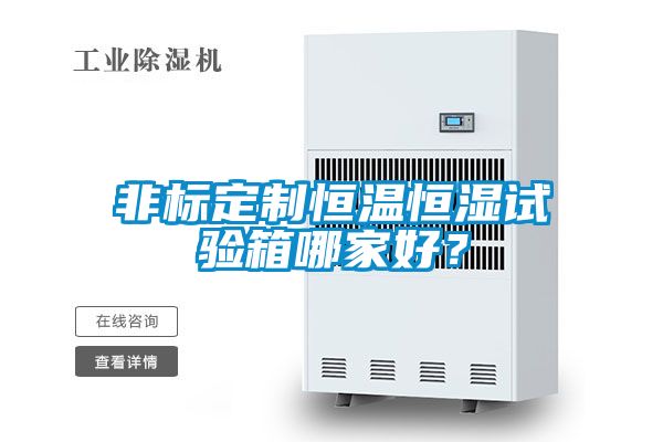 非标定制恒温恒湿试验箱哪家好？