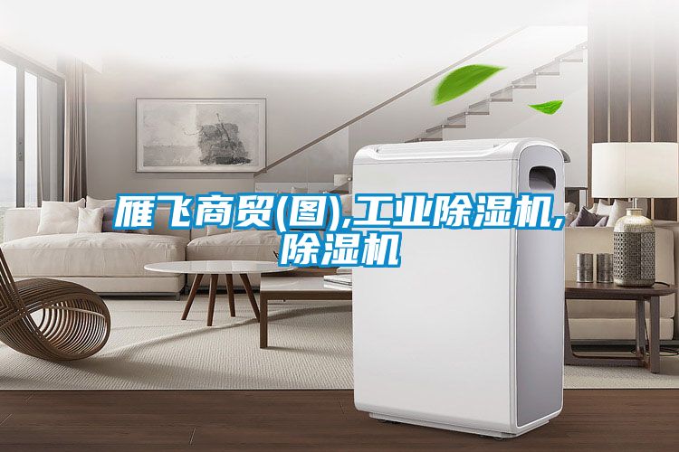 雁飞商贸(图),工业麻豆视频黄网站,麻豆视频黄网站
