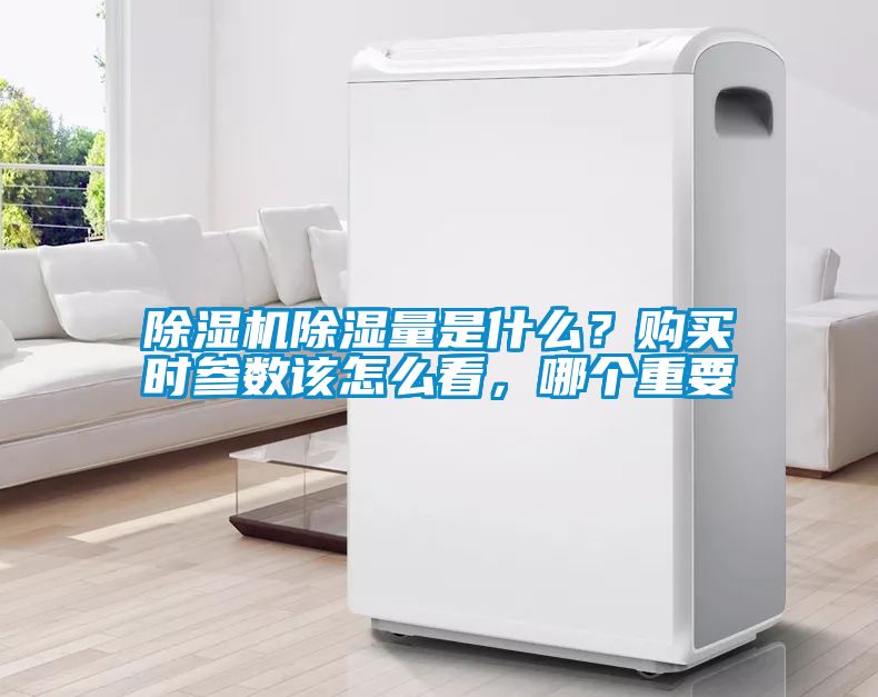 麻豆视频黄网站除湿量是什么？购买时参数该怎么看，哪个重要