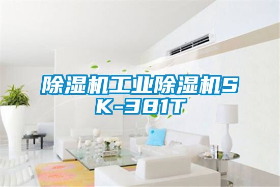 麻豆视频黄网站工业麻豆视频黄网站SK-381T