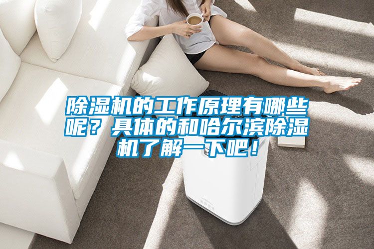 麻豆视频黄网站的工作原理有哪些呢？具体的和哈尔滨麻豆视频黄网站了解一下吧！