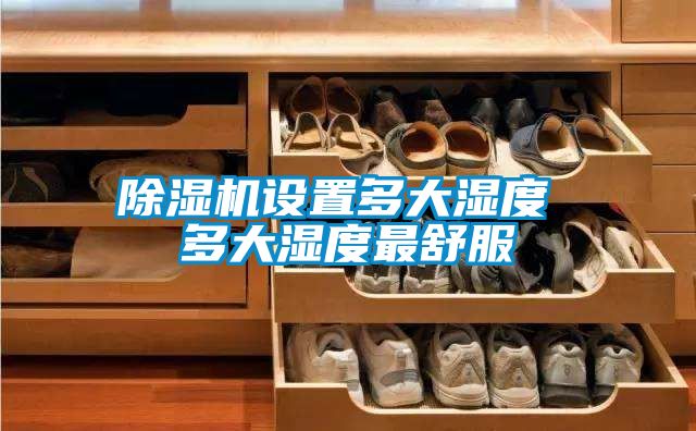 麻豆视频黄网站设置多大湿度 多大湿度最舒服
