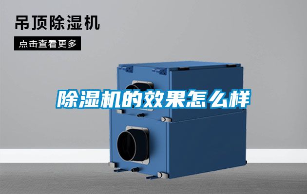 麻豆视频黄网站的效果怎么样