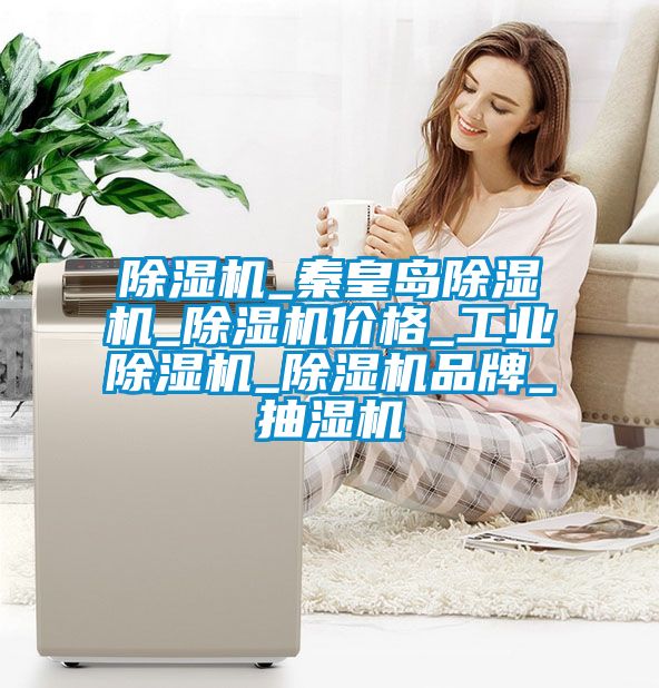 麻豆视频黄网站_秦皇岛麻豆视频黄网站_麻豆视频黄网站价格_工业麻豆视频黄网站_麻豆视频黄网站品牌_抽湿机