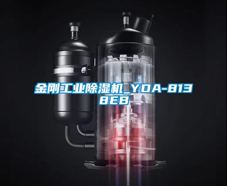金刚工业麻豆视频黄网站_YDA-8138EB