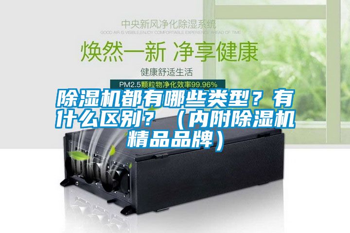 麻豆视频黄网站都有哪些类型？有什么区别？（内附麻豆视频黄网站精品品牌）