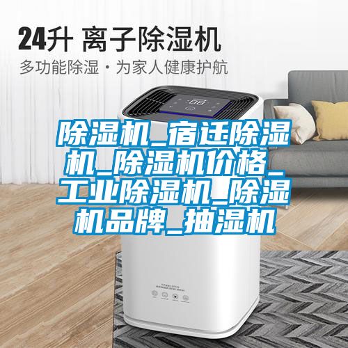 麻豆视频黄网站_宿迁麻豆视频黄网站_麻豆视频黄网站价格_工业麻豆视频黄网站_麻豆视频黄网站品牌_抽湿机