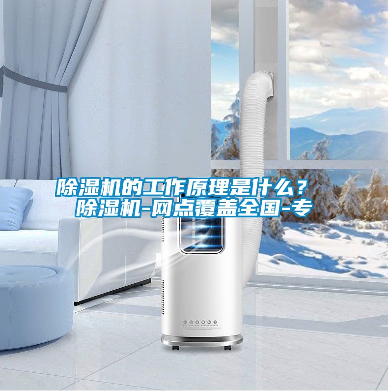 麻豆视频黄网站的工作原理是什么？ 麻豆视频黄网站-网点覆盖全国-专