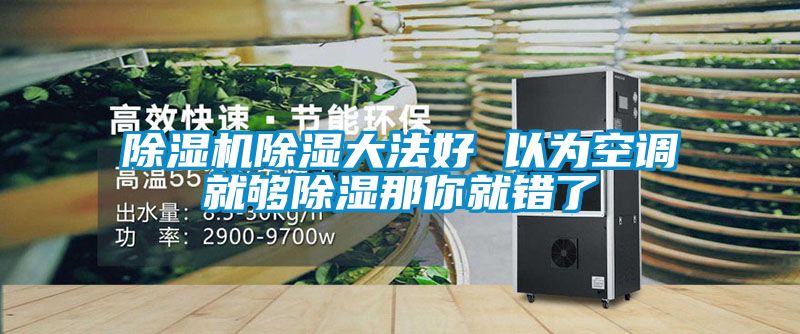 麻豆视频黄网站除湿大法好 以为空调就够除湿那你就错了