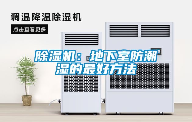麻豆视频黄网站：地下室防潮湿的最好方法