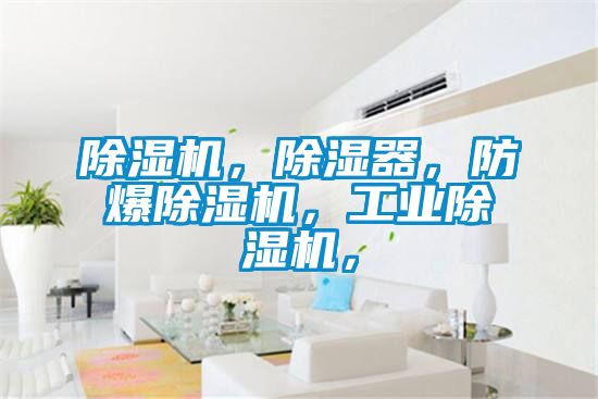 麻豆视频黄网站，除湿器，防爆麻豆视频黄网站，工业麻豆视频黄网站，