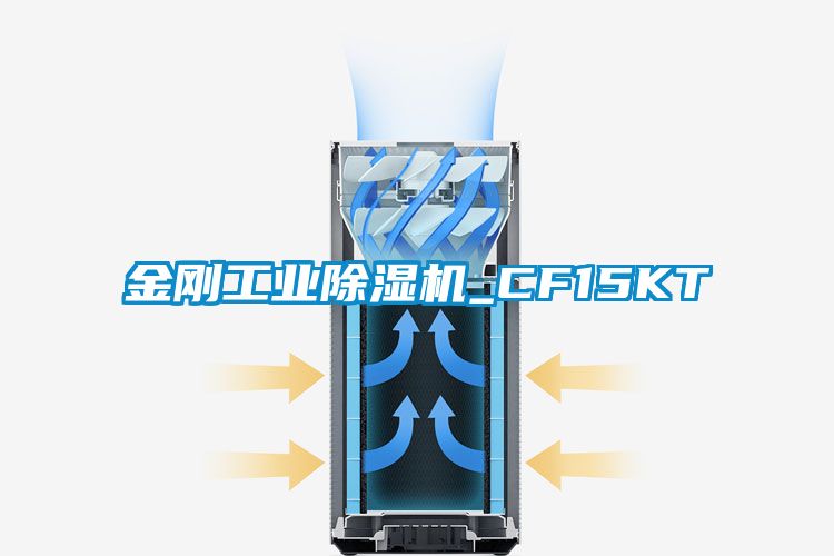 金刚工业麻豆视频黄网站_CF15KT