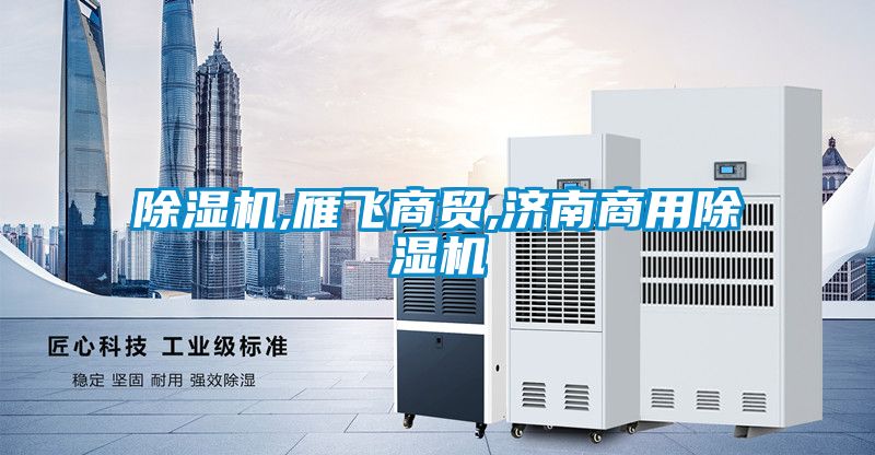 麻豆视频黄网站,雁飞商贸,济南商用麻豆视频黄网站