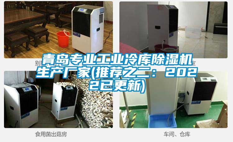 青岛专业工业冷库麻豆视频黄网站生产厂家(推荐之二：2022已更新)
