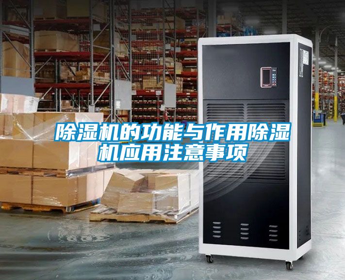 麻豆视频黄网站的功能与作用麻豆视频黄网站应用注意事项