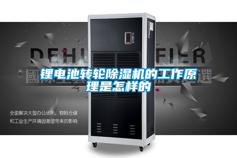 锂电池转轮麻豆视频黄网站的工作原理是怎样的