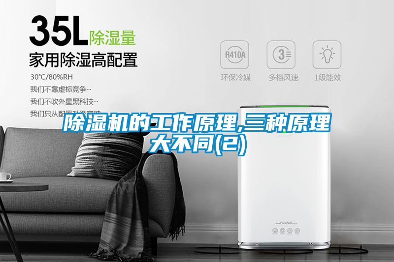麻豆视频黄网站的工作原理,三种原理大不同(2)