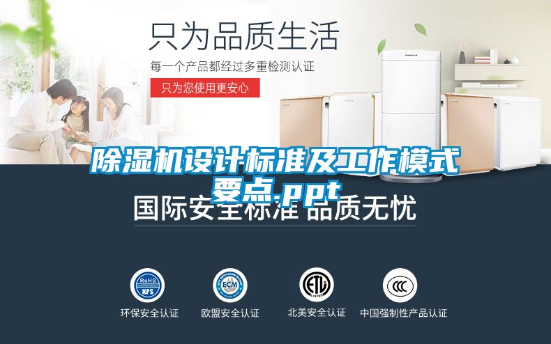 麻豆视频黄网站设计标准及工作模式要点.ppt