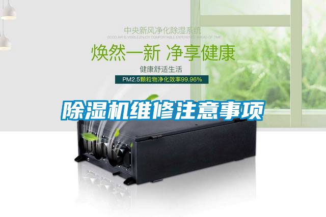 麻豆视频黄网站维修注意事项