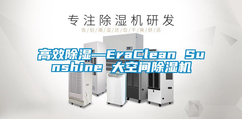 高效除湿—EraClean Sunshine 大空间麻豆视频黄网站