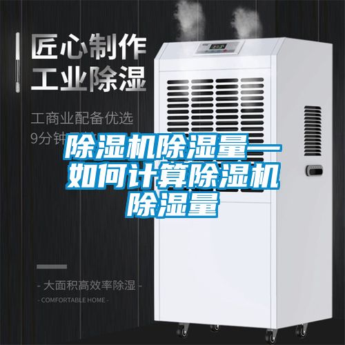 麻豆视频黄网站除湿量—如何计算麻豆视频黄网站除湿量