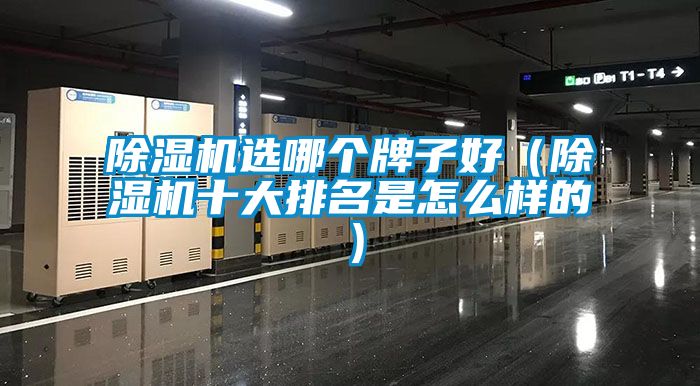麻豆视频黄网站选哪个牌子好（麻豆视频黄网站十大排名是怎么样的）