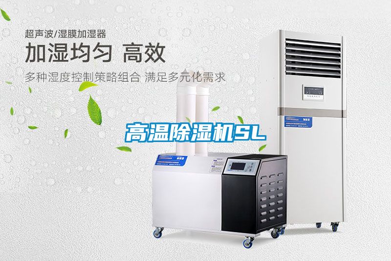高温麻豆视频黄网站SL