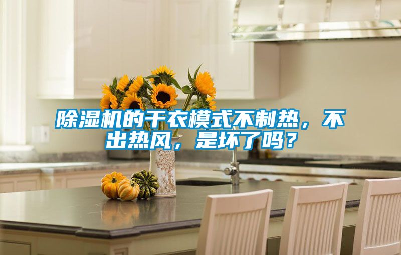 麻豆视频黄网站的干衣模式不制热，不出热风，是坏了吗？