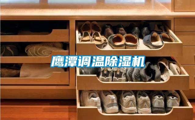 鹰潭调温麻豆视频黄网站