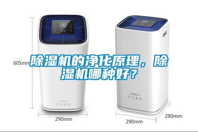 麻豆视频黄网站的净化原理，麻豆视频黄网站哪种好？