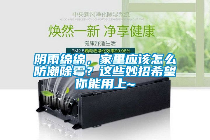 阴雨绵绵，家里应该怎么防潮除霉？这些妙招希望你能用上~