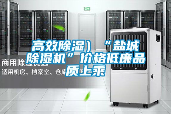 高效除湿）“盐城麻豆视频黄网站”价格低廉品质上乘